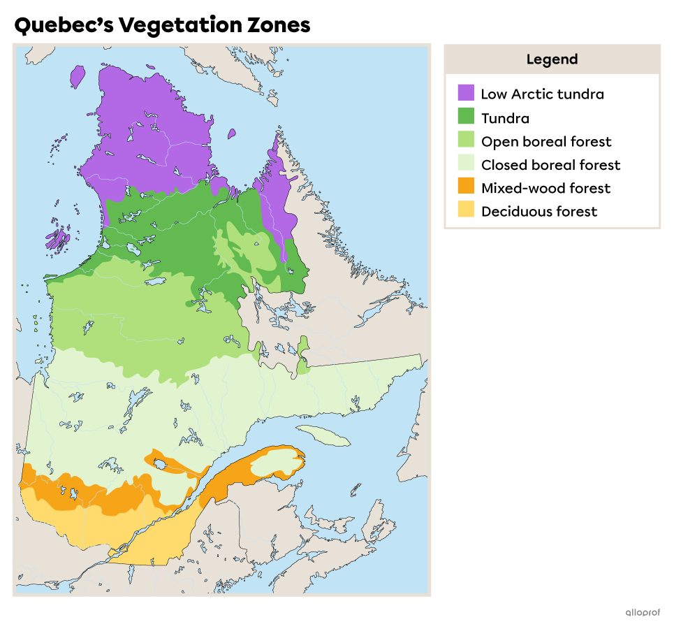 Quebec S Forest Regions Secondaire Alloprof AN Ig1033 3 Map Of Quebecs Vegetation Zones 