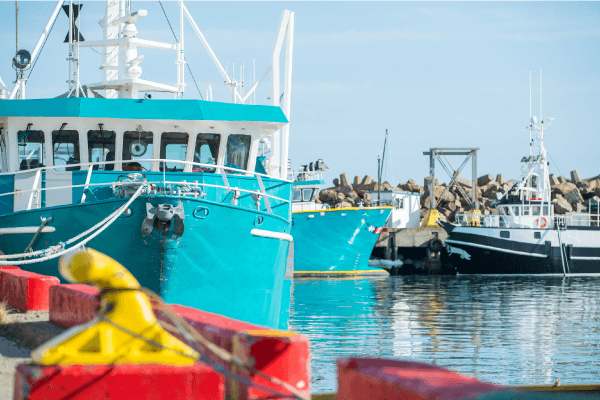 Des bateaux de pêche au crabe au quai de Grande-Rivière.