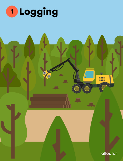 Logging.