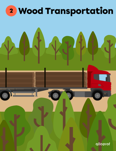 Wood Transportation.