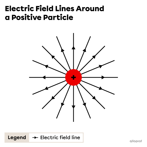 The electric field lines around a positive charge point away from the charge.