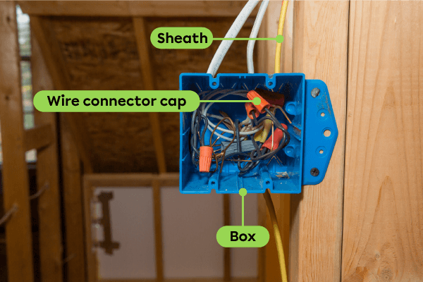 An electrical box containing sheathed wires and connector caps, also called wire nuts.