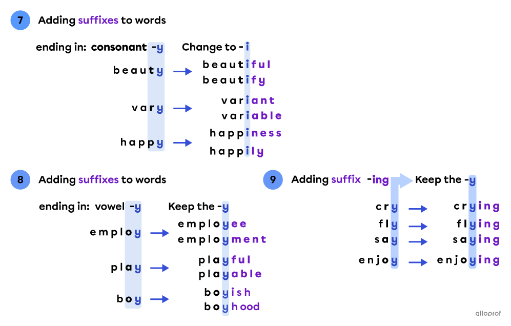 Words Ending in Y — Spelling Rules Alloprof