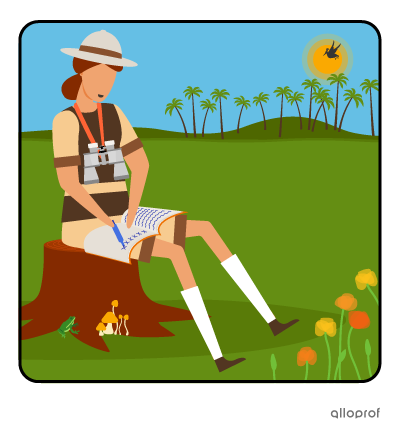 Florence the explorer observing birds with binoculars and keeping count in a journal.