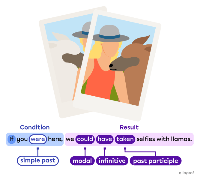 Woman taking a selfie with a llama.