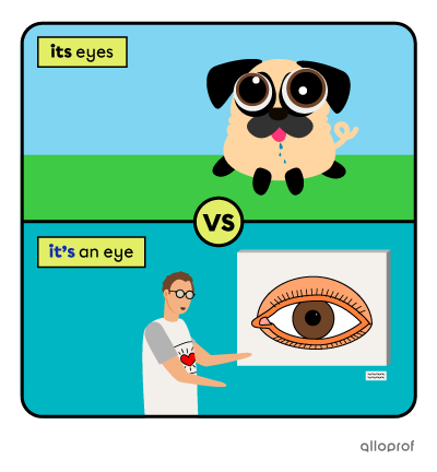 Example for the difference between the contraction of “it” & “is” and the possessive adjective “its”.