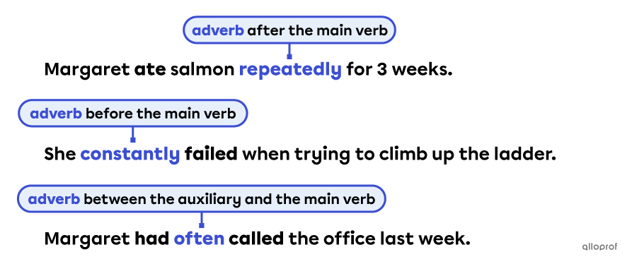 Placement of adverb of frequency.