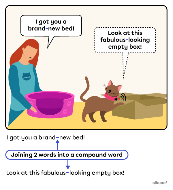 Selina the inventor gives her cat a new bed, but the cat prefers the box it came in.