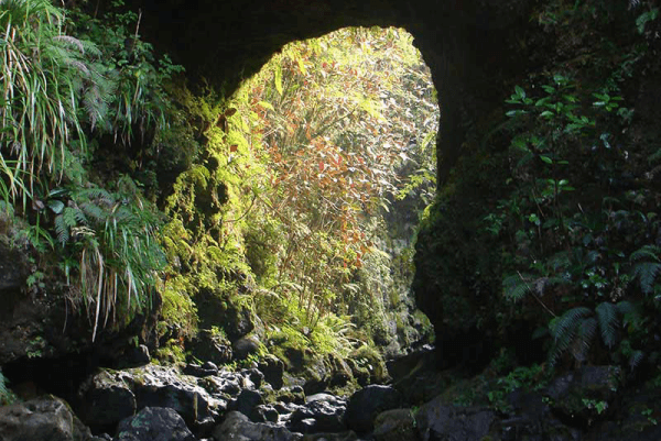 L’intérieur d’un lavatube.