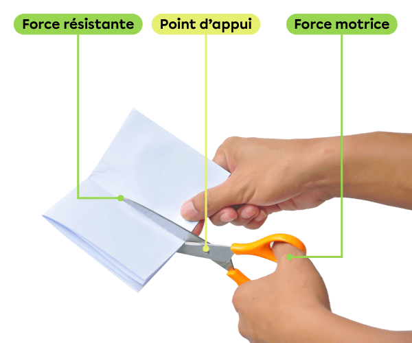 Une main qui coupe du papier à l’aide de ciseaux. La force motrice est appliquée par la main, le point d’appui est situé sur le rivet qui joint les deux lames et la force résistante est appliquée par le papier.