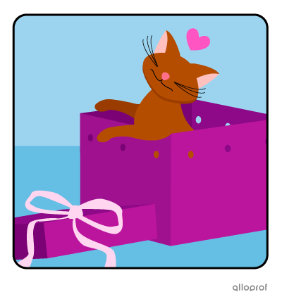 A kitten in a box.
