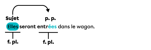 Exemple de phrase dans laquelle le sujet, « Elles », qui est féminin et pluriel, donne son genre et son nombre au participe passé « entrées » parce qu’il est employé avec l’auxiliaire « être ».