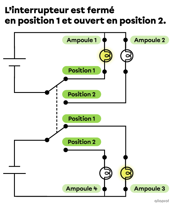 Un schéma électrique comprenant deux circuits ayant chacun deux ampoules. Une ampoule de chaque circuit est allumée et les autres sont éteintes.