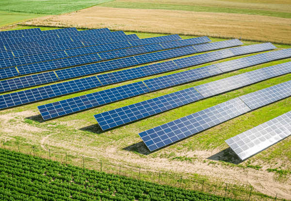 Des panneaux solaires dans un champ.