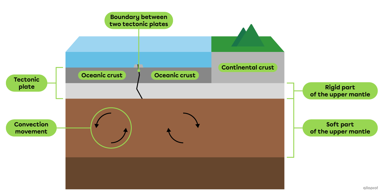 A diagram of two tectonic plates separated by a boundary and the convection movement in the mantle under the lithosphere.