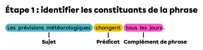 Une phrase de base dans laquelle le sujet, le prédicat et le complément de phrase sont identifiés.