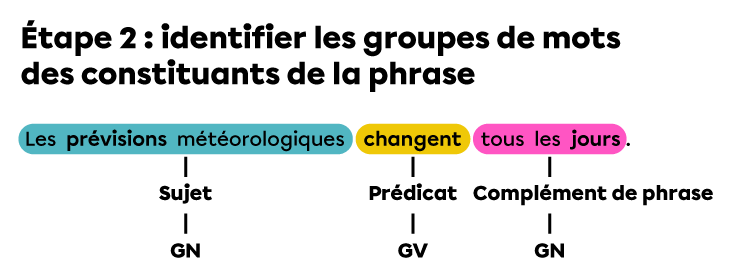 Phrase dans laquelle on a identifié les groupes de mots qui constituent le sujet, le prédicat et le complément de phrase.