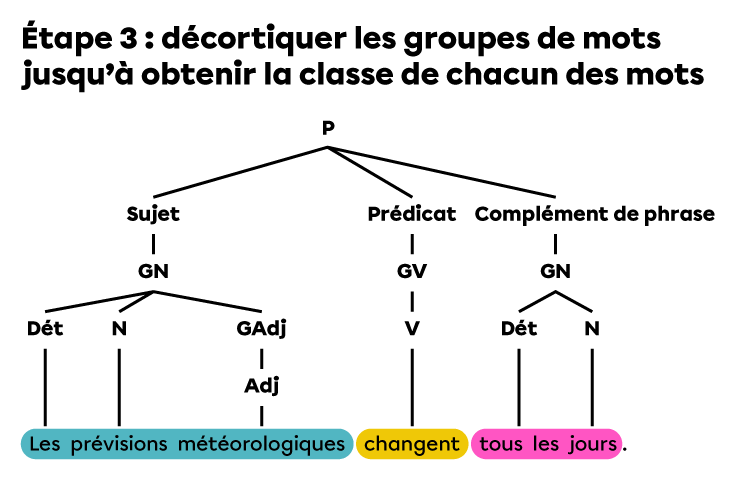 Analyse en arbre syntaxique de la phrase « Les prévisions météorologiques changent tous les jours. ».
