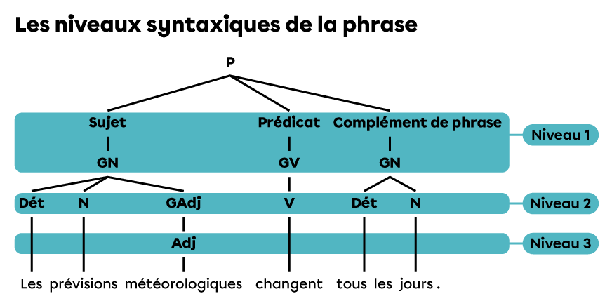 Les trois niveaux syntaxiques de la phrase « Les prévisions météorologiques changent tous les jours. ».