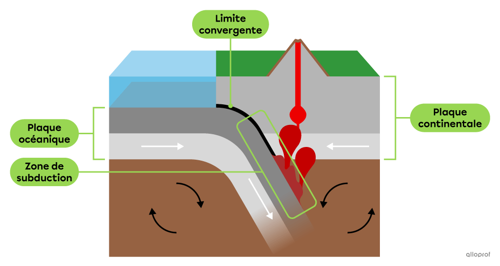 Un schéma montrant l’emplacement de la zone de subduction formée lorsqu’une plaque océanique s’enfonce sous une plaque continentale lors de leur collision.