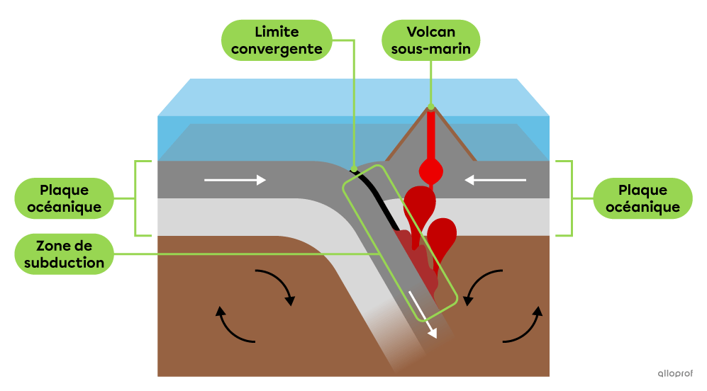 Un schéma indiquant l’emplacement d’une zone de subduction formée lorsque deux plaques océaniques entrent en collision.  