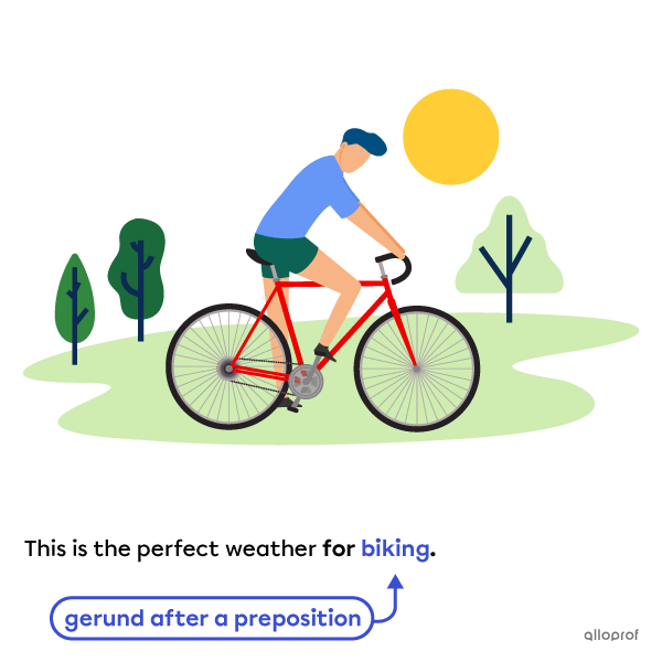 A perfect day for biking.