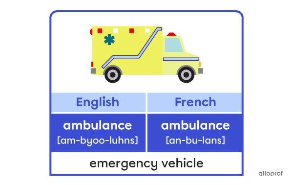 The word “ambulance” means the same thing in both English and French.