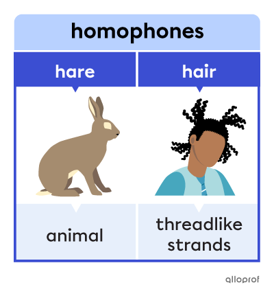 “Hare” and “hair” are homophones. A “hare” is an animal and “hair” is what we have on top of our head.