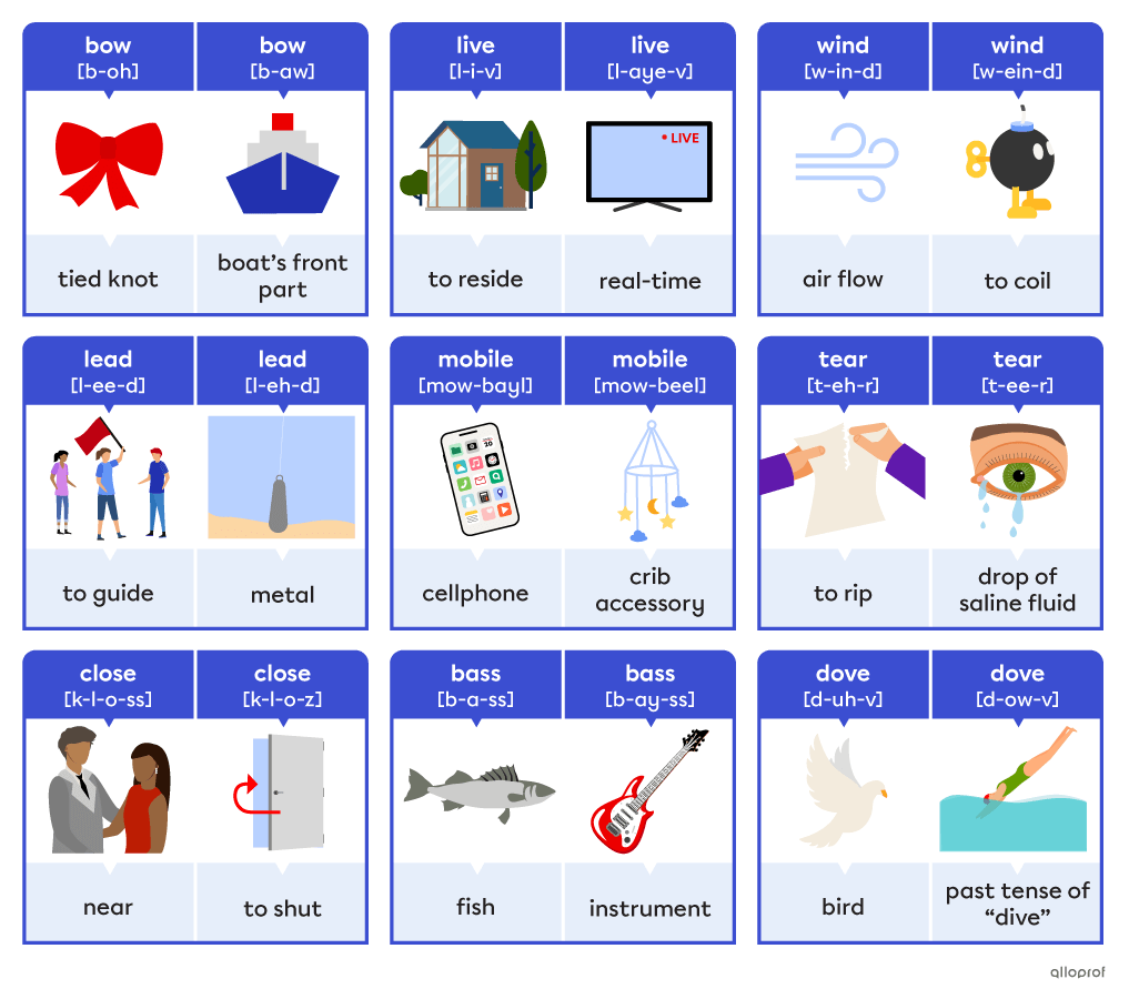 Different examples of homographs including “bow” and “bow.” One means a tied knot and is pronounced “boh” and one refers to the front part of a boat and is pronounced “baw.”