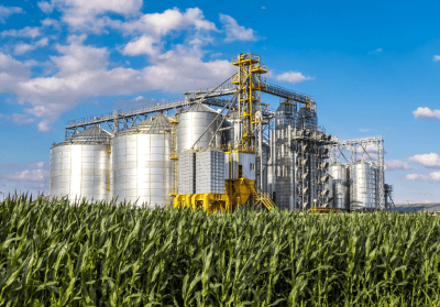Une exploitation agricole.