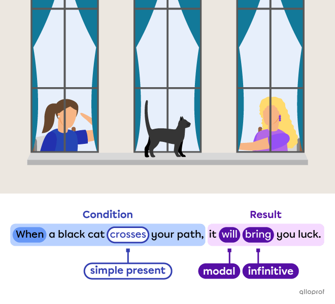 Black cat superstition.