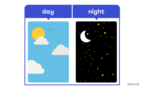 ‘‘Day’’ and ‘‘night’’ are antonyms.