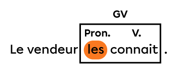 Exemple d’une phrase avec un groupe du verbe dans lequel le pronom les qui a la fonction de complément direct précède le verbe conjugué.