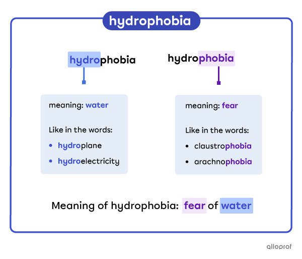 Diagram showing the word “hydrophobia’ is made of two parts. Part one is “hydro” which relates to water. The second part is “phobia” which means fear. Meaning the word “hydrophobia “stands for fear of water.