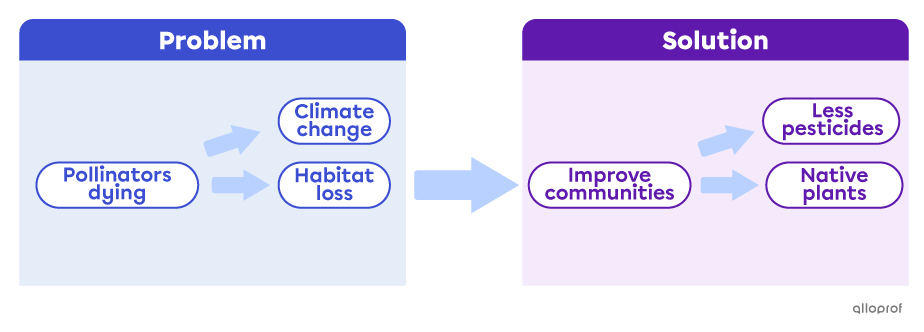Diagram presenting a solution to a problem concerning bees.