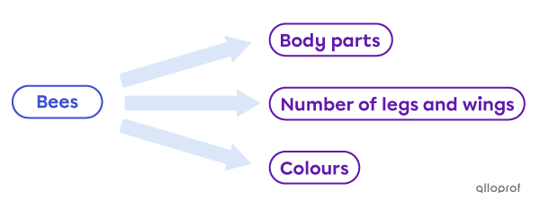 Diagram showing details describing bees.