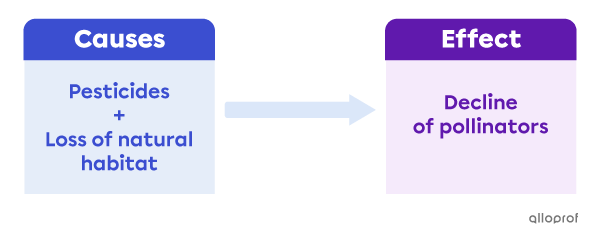 Diagram showing the effect of multiple causes affecting bees.