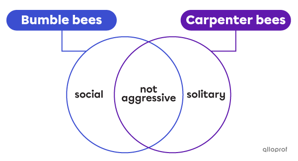 Diagram showing a comparison between bee species.