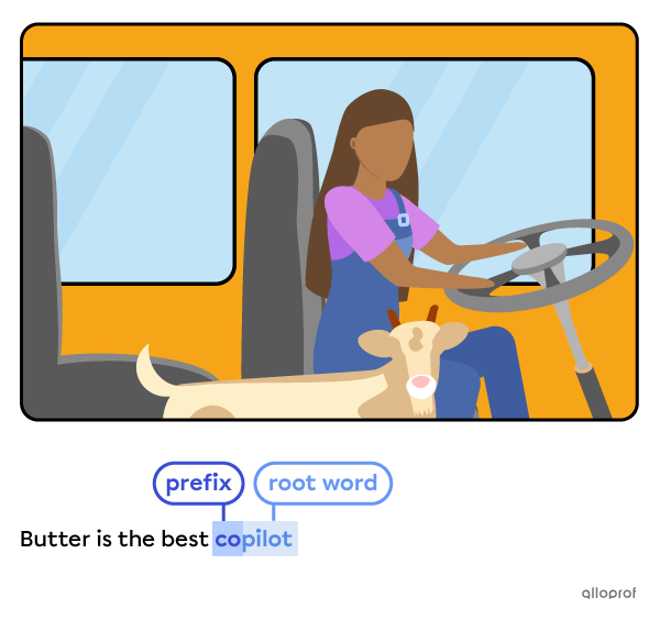 Woman driving a minibus with her goat sitting on the passenger seat. 