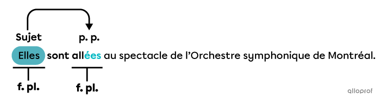Exemple de phrase dans laquelle le participe passé a le même genre et le même nombre que le sujet de la phrase.