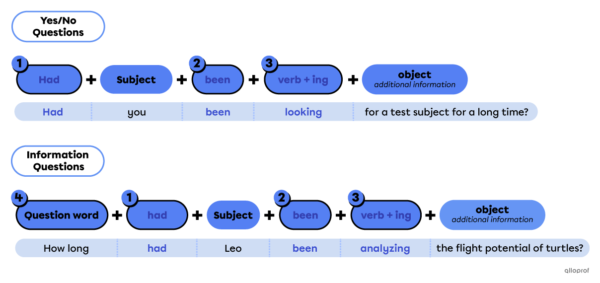 Past perfect continuous yes/no question and information question forms.