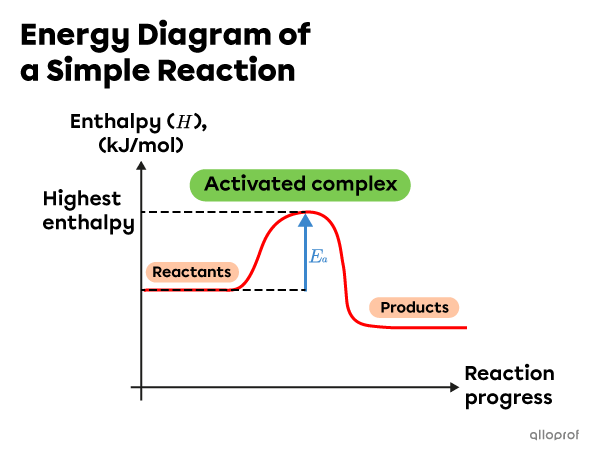 The energy diagram of a simple reaction indicates the formation of one activated complex. This complex has the highest enthalpy during the reaction.