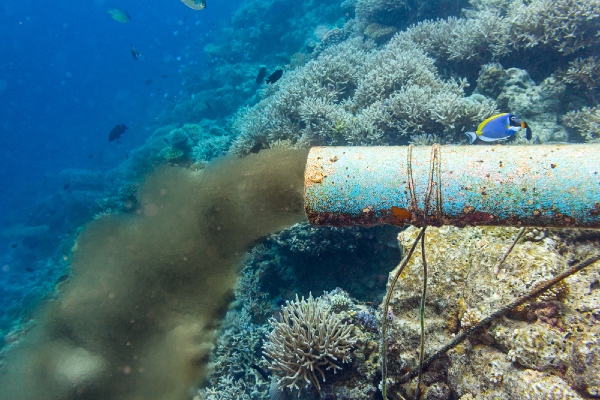 Photographie d’un tuyau d’égout qui pollue l’eau sous la mer.