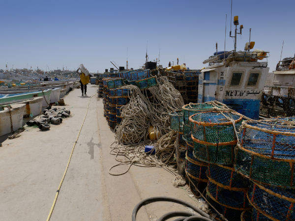 Photographie de bateaux de pêche en Mauritanie.