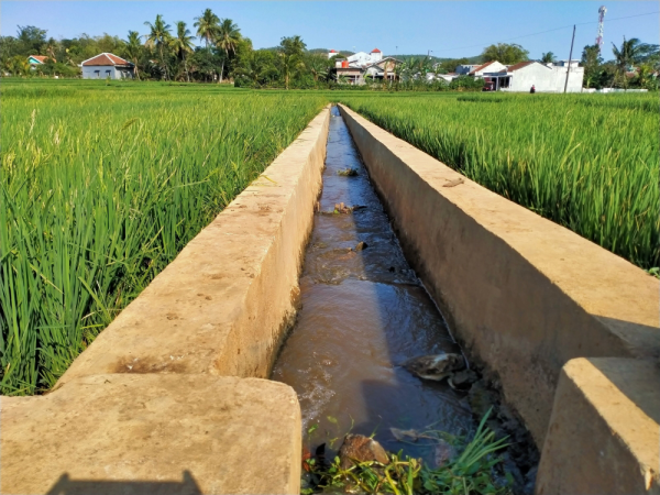 Des canaux d’irrigation agricole à Yogyakarta en Indonésie.