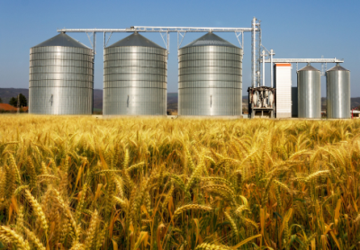Des silos à grain dans un champ de blé.