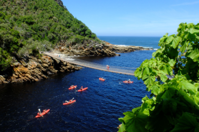Des visiteurs font du kayak dans le parc national de Tsitsikamma en Afrique du Sud.