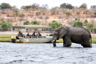 Des touristes observent les éléphants au parc national de Chobe au Botswana.