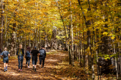 Des visiteurs font de la randonnée pédestre au Parc national du Mont-Saint-Bruno au Québec.