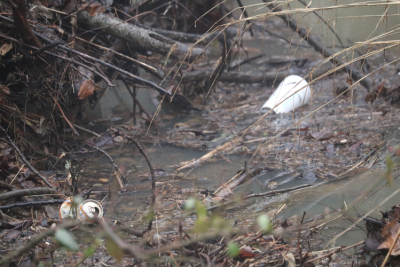 Des déchets dans un cours d’eau.